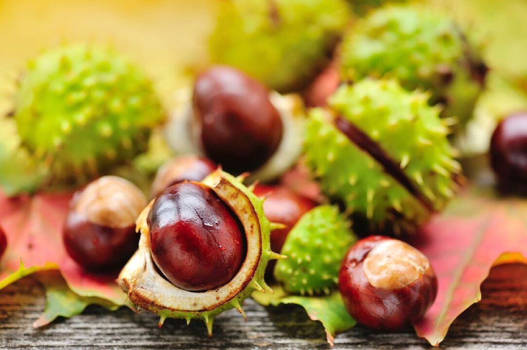 horse chestnut alang sa laygay nga prostatitis